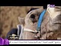 مفتاح الحياة إنفراد تحقيق مصور لحقيقة بيع أحجار من الهرم الذى أثير على مدى الأيام الماضية مفتاح الحياة إنفراد تحقيق مصور لحقيقة بيع أحجار من الهرم الذى أثير على مدى الأيام الماضية