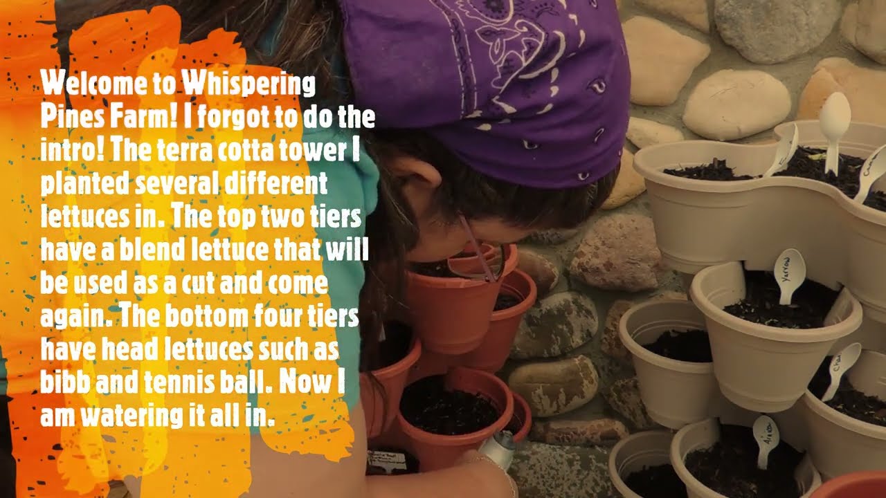 Planting a Lettuce Tower! YouTube