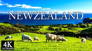 New Zealand 4K - Beautiful Auckland Panoramic Drone Film With Relaxing Music - Asmr Reiki screenshot 4