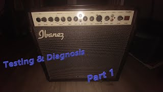 Ibanez TA35 Troubadour Testing, Diagnosis and Refresh Part 1