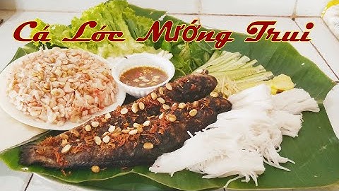CÁ LÓC NƯỚNG TRUI | Món ăn dân dã có hương vị độc đáo ở Miền Tây| Ăn ngon cùng chị 9