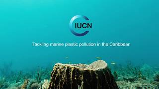 Tackling marine plastic pollution in the Caribbean