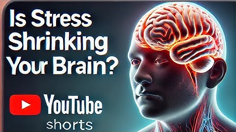 Is Stress Shrinking Your Brain?