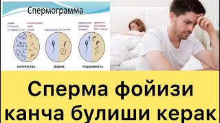 Yoqolgan mediadan porno rasmlar