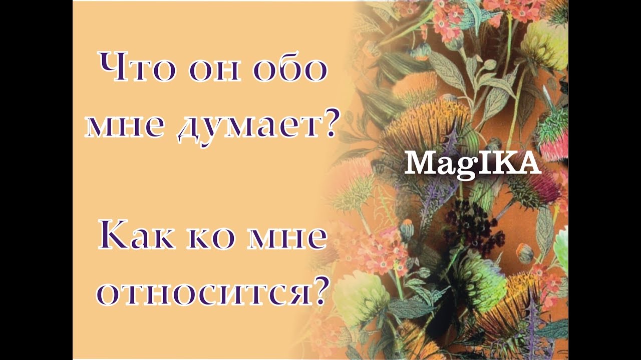 Mirava Таро Новый Расклад 2022 Год