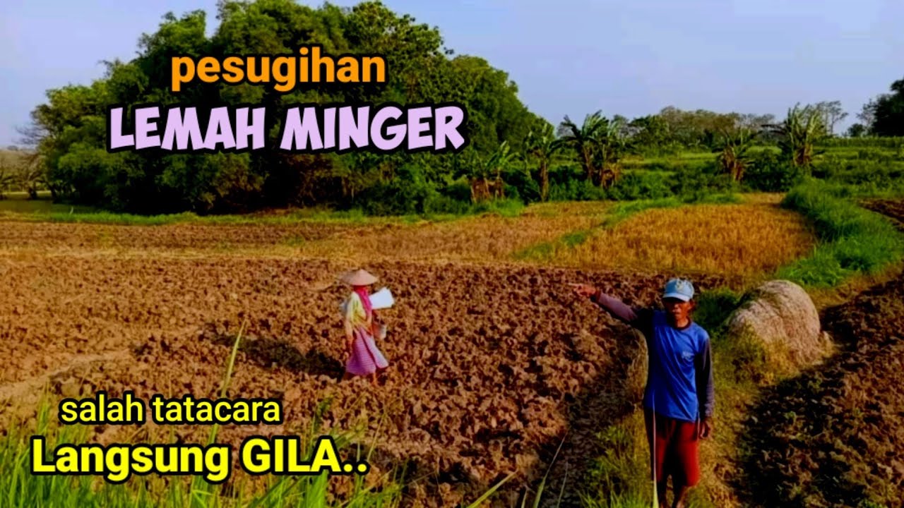 Jangan Kesini Tempat dan lokasi Lemah Minger Cari Pesugihan Tertua Bojonegoro.