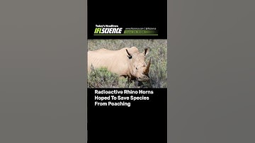 Top #Science Headlines - 28 June 2024 #news #science