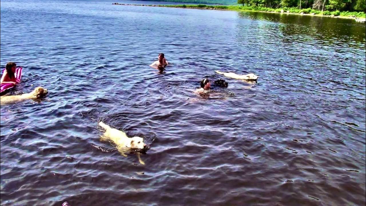 FOR SALE Home & Large Waterfront Property in Quiet Cove on Lake