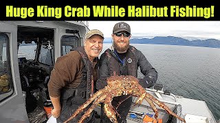 Huge King Crab While Halibut Fishing! Alaskan Halibut Fishing - Juneau, Alaska!  AUGUST 2021