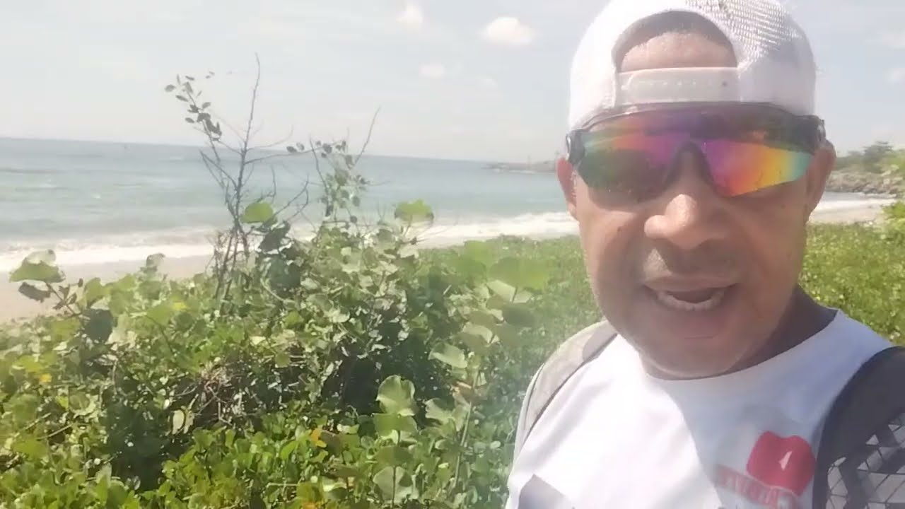 🌳 La historia del árbol de uvas quemado en la Playa