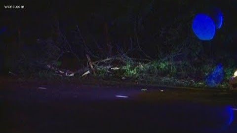 Florence knocks down trees, power lines in Charlotte
