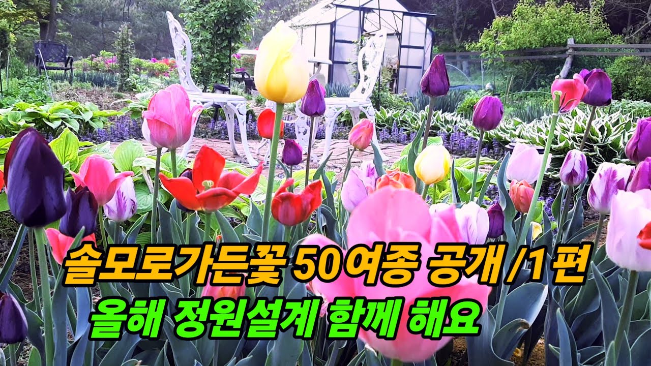 올해 정원설계 고민 끝  꼭 ! 보세요 다 예뻐요