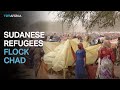 Aid agencies call for support for Sudanese refugees