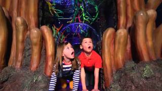 Sea Life Manchester - Tv And Cinema Advert 2014