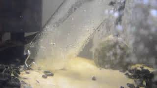 Upettools Aquarium Gravel Cleaner Review, Careful is the name of the game screenshot 5