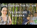 Enjoying Sugarcane as a Family! || Homesteading in Kenya || VLOG