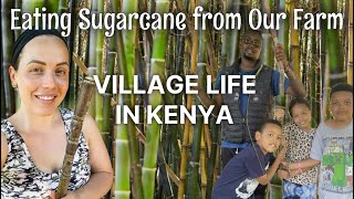 Enjoying Sugarcane as a Family! || Homesteading in Kenya || VLOG