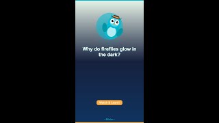 🔍 Why do fireflies glow in the dark? | Blinky