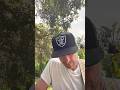 Panoramic View #newsong