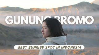 Mount Bromo: Complete Information (Tours, Vehicles, Times)