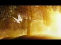 Peaceful music relaxing music instrumental music heavens light by tim janis