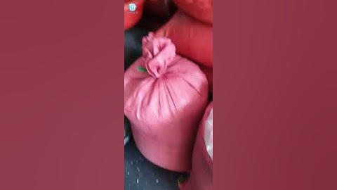 Green Coffee Beans Inspection Before Shipment