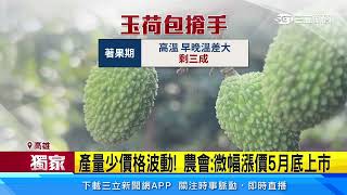 大雨落果「玉荷包」產量剩2成！ 果農「努力守護」拚訂單｜三立新聞網 SETN.com