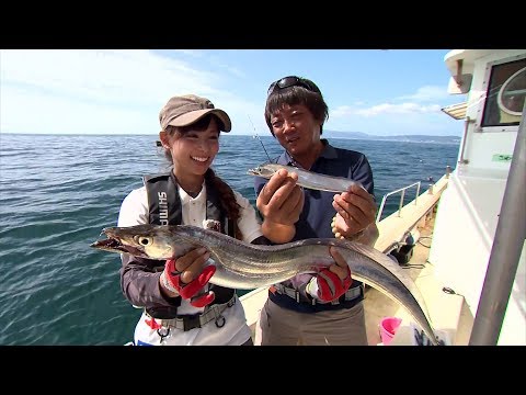 【釣り百景】#210 出るかドラゴン級！テンヤ・ライトテンヤで狙う大阪湾のタチウオ