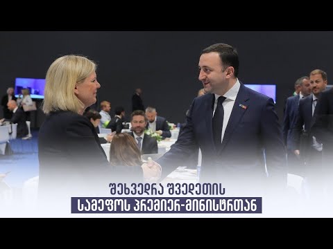 შეხვედრა შვედეთის სამეფოს პრემიერ-მინისტრთან
