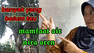 Tak Disangka Air Nira Aren Ternyata Memiliki 7 Manfaat Kesehatan