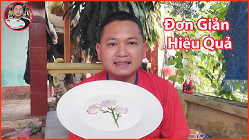 🍁 Đơn Giản Với Cách Trang Trí Món Ăn Này  - Mang Tinh Hoa Cho Món Ăn hấp Dẫn |  Decor Đĩa Vlog