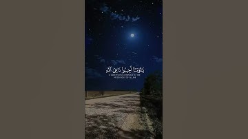#سورة الاحقاف #تلاوة_خاشعة #تلاوة_هادئة #متعة_بصرية #راحة نفسية #ايمان بل لله واليوم الآخر #اكسبلور