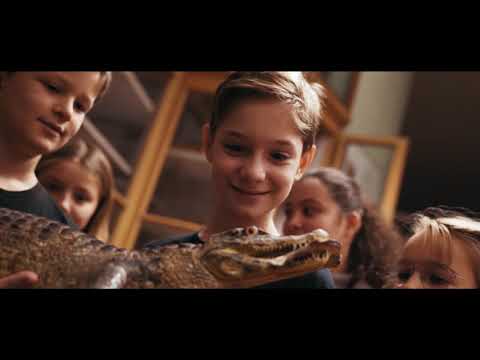 Franziskanergymnasium Bozen - leben lernen!