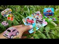 Hunting permen mobil mobilan di semak semak dekat sawah