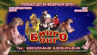 Только до 24 февраля! Цирк «Бинго-Бонго» и «Шоу Шимпанзе» в Краснодаре