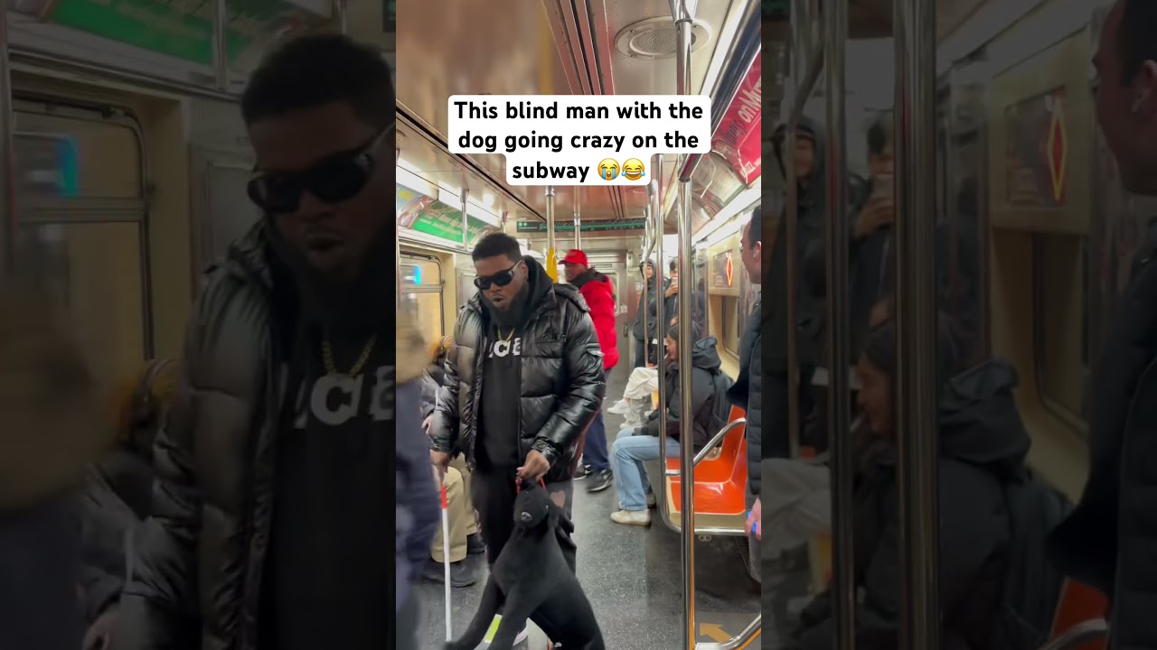 This blind man with the dog going crazy on the subway 😭😂 @jmassiah901 #funny #hoodfunny #comedy auf YouTube ansehen This blind man with the dog going crazy on the subway 😭😂 @jmassiah901 #funny #hoodfunny #comedy auf YouTube ansehen