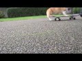 Gypsy can skateboard!