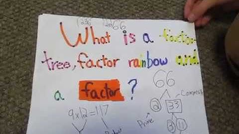 Factor Trees, Factor Rainbows and Factors 2016