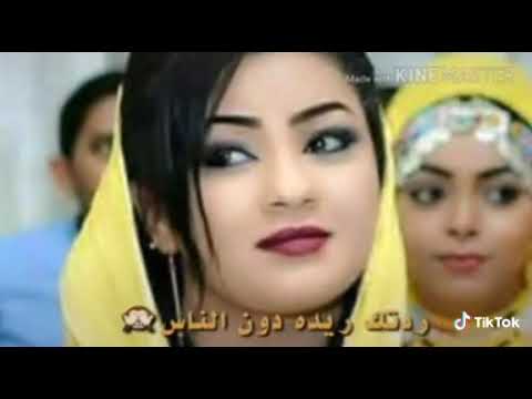 حالات واتساب سودانية افراح عصام