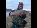 Big trouts in highlands of Iceland.