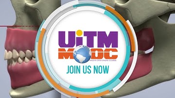 DOD901   DYNAMIC OCCLUSION MANDIBLE