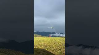 पहाड ❤️ ##dailyshorts #instagram #goviral #contentcreator #uttarakhand #followforfollowback #live