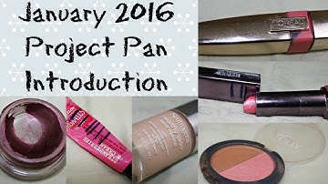 January 2016 Project Pan Introduction