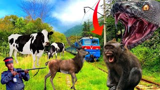Anaconda Vs Gorilla Hunter Funny With Monkey Kinemaster Editing Anand Sahni Vfx