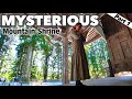 NAGANO🇯🇵 Togakushi Shrines Perfect Guide⛩️ Japan travel vlog