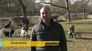 Elektronické Obojky V Pořadu Polopatě Dogtrace