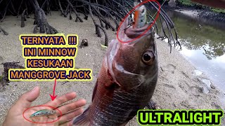 Umpan Casting Yang Disukai Mangrove Jack Mancing Ultralight Di Muara Sungai