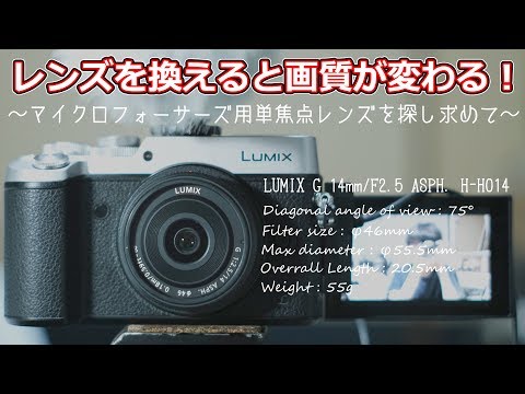 ✨広がる・ぼかせる広角単焦点✨LUMIX OLYMPUS用✨14mm f2.5 Amazon | パナソニック 単焦点 広角レンズ マイクロフォーサーズ用
