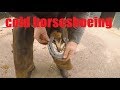 Cold Horseshoeing. farrier shoeing horse cold