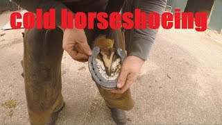 Cold Horseshoeing. farrier shoeing horse cold